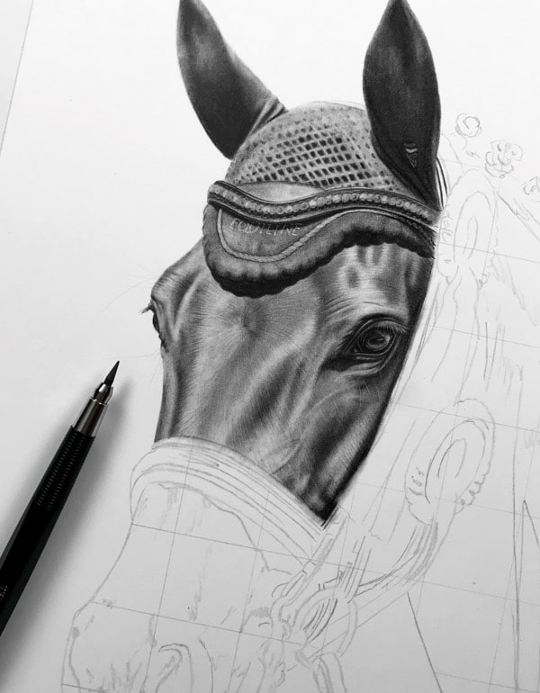 Pferd zeichnen lassen