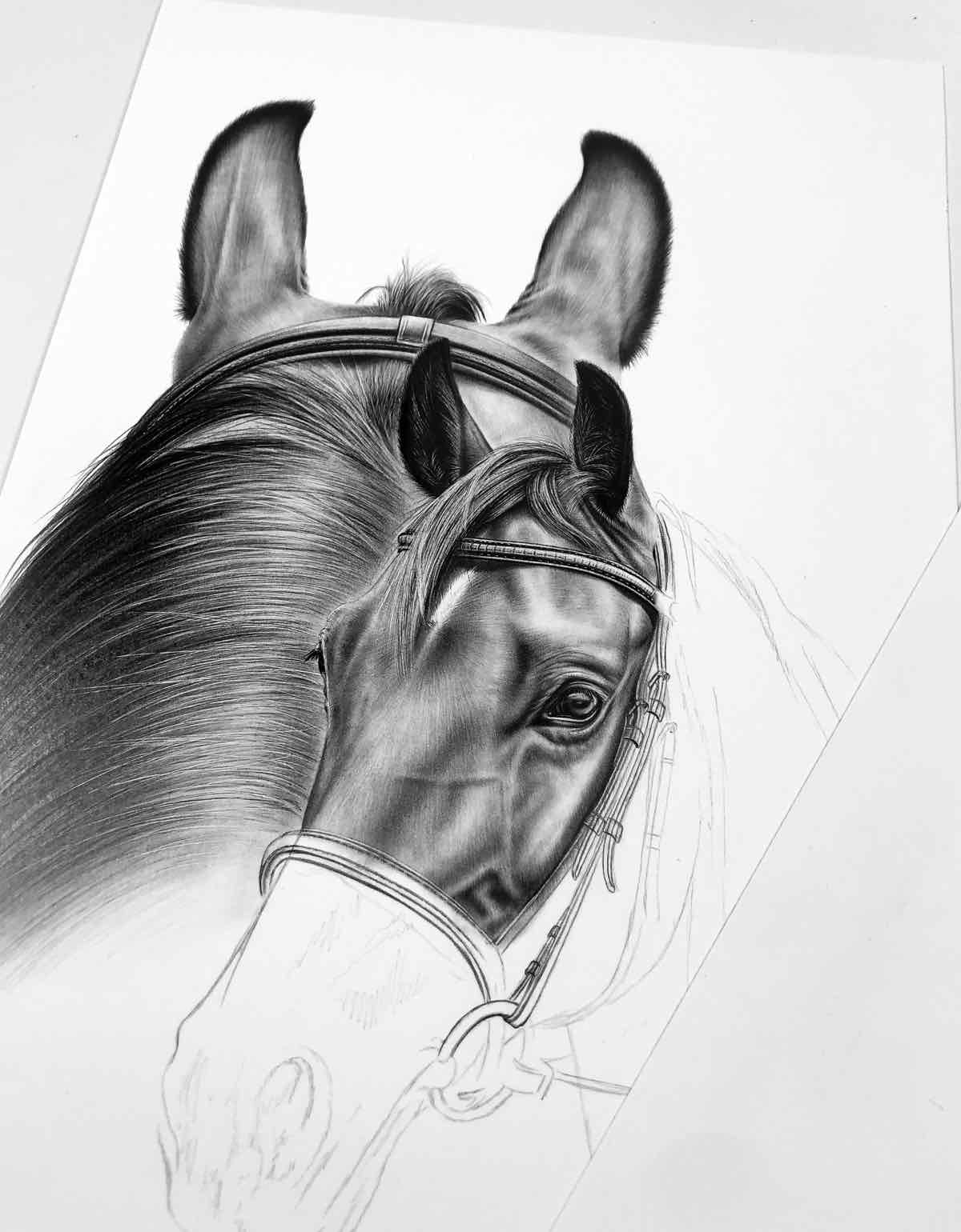 Collage Bleistift Pferd