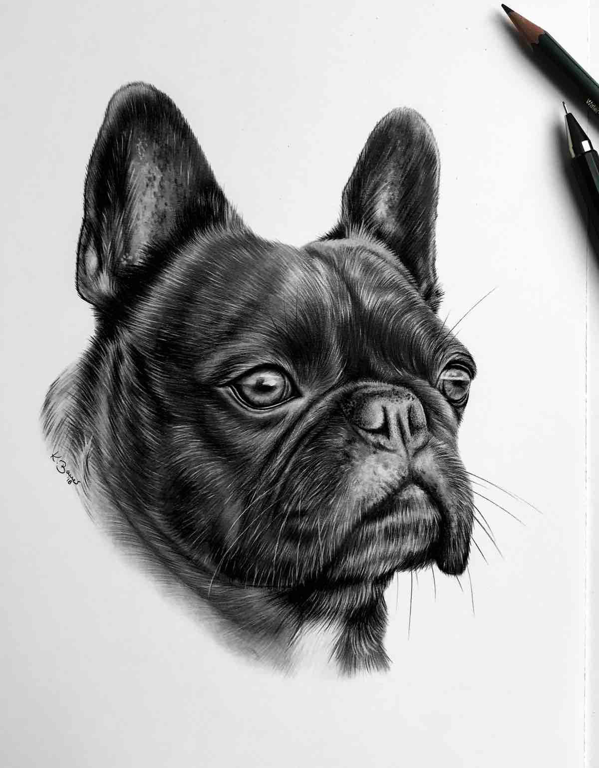 Hundeportrait in Auftrag geben