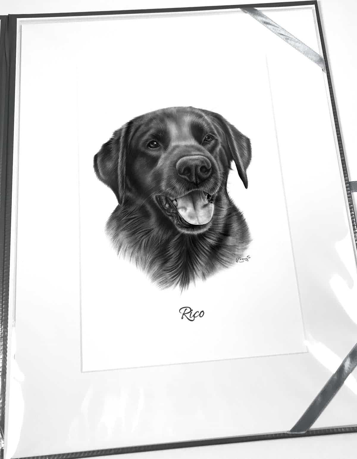 Labrador gezeichnet Bleistift