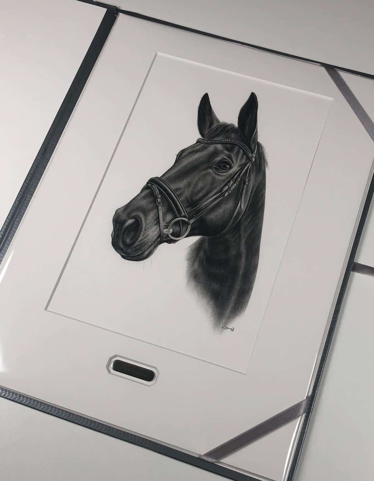 Pferdebild Portrait